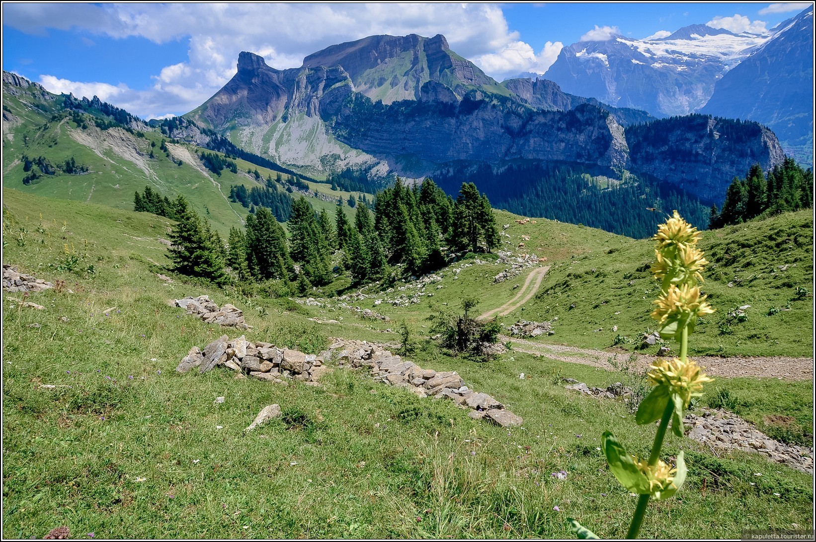Schynige Platte (Wilderswil)